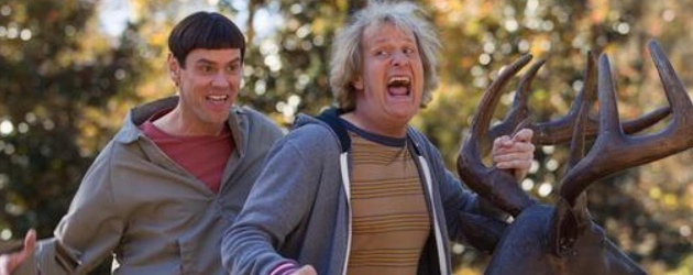 dumb and dumber too harry lloyd image