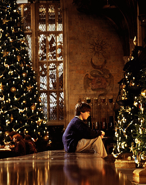 Which Harry Potter Movie Is Best For Christmas / 32 Best Harry Potter Ornaments - Harry Potter Christmas ... : The series is distributed by warner bros.